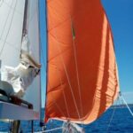 Illustration du profil de spinosa